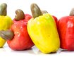 thumb-image-2024-02-29T14:00:05.511Z