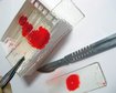thumb-image-2024-02-29T14:00:07.187Z