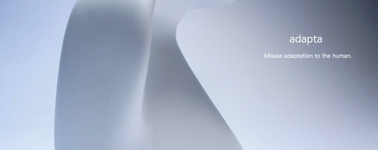thumb-image-2024-02-29T14:00:07.969Z