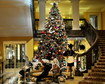 thumb-image-2024-02-29T14:00:09.436Z