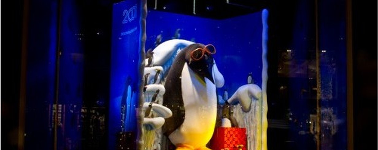 thumb-image-2024-02-29T14:00:11.663Z