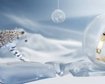 thumb-image-2024-02-29T14:00:12.760Z