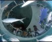 thumb-image-2024-02-29T14:00:15.410Z
