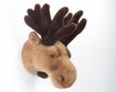thumb-image-2024-02-29T14:00:21.649Z