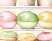 thumb-image-2024-02-29T14:00:24.979Z