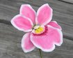 thumb-image-2024-02-29T14:00:31.652Z
