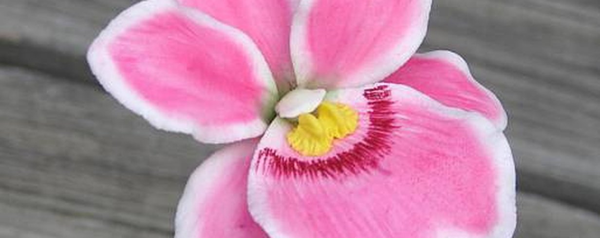 thumb-image-2024-02-29T14:00:31.652Z