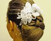 thumb-image-2024-02-29T14:00:32.144Z