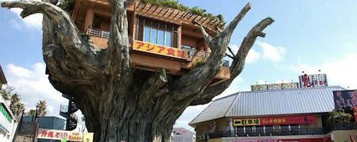 thumb-image-2024-02-29T14:00:36.491Z