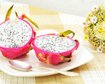 thumb-image-2024-02-29T14:00:39.150Z