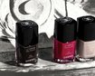 thumb-image-2024-02-29T14:00:42.693Z
