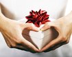 thumb-image-2024-02-29T14:00:46.617Z