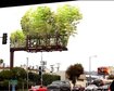 thumb-image-2024-02-29T14:00:53.056Z