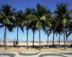 thumb-image-2024-02-29T14:00:57.525Z