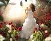 thumb-image-2024-02-29T14:00:58.111Z