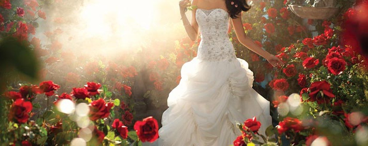 thumb-image-2024-02-29T14:00:58.111Z