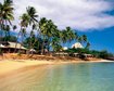 thumb-image-2024-02-29T14:00:58.506Z