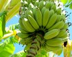 thumb-image-2024-02-29T14:01:00.255Z