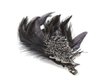thumb-image-2024-02-29T14:01:01.036Z