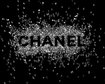 thumb-image-2024-02-29T14:01:01.687Z