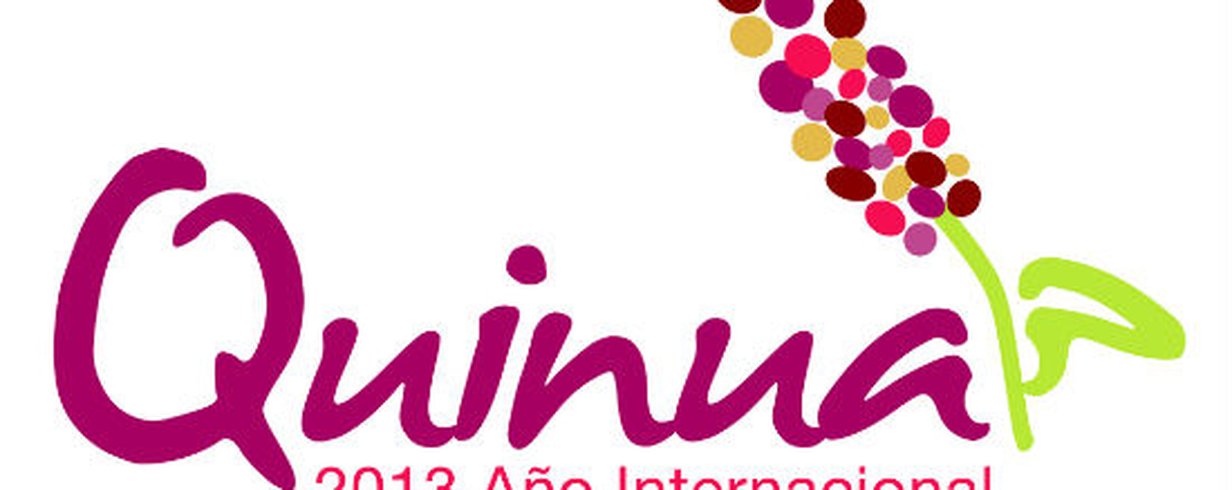 thumb-image-2024-02-29T14:01:02.744Z