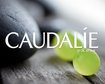 thumb-image-2024-02-29T14:01:03.605Z