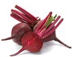 thumb-image-2024-02-29T14:01:03.747Z
