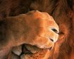 thumb-image-2024-02-29T14:05:00.854Z
