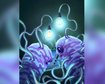 thumb-image-2024-02-29T14:05:00.894Z