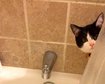 thumb-image-2024-02-29T14:05:01.595Z