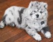 thumb-image-2024-02-29T14:05:01.672Z