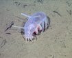 thumb-image-2024-02-29T14:05:01.722Z