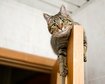 thumb-image-2024-02-29T14:05:02.029Z