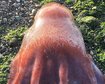 thumb-image-2024-02-29T14:05:02.167Z
