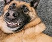 thumb-image-2024-02-29T14:05:02.383Z