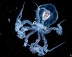 thumb-image-2024-02-29T14:05:11.820Z